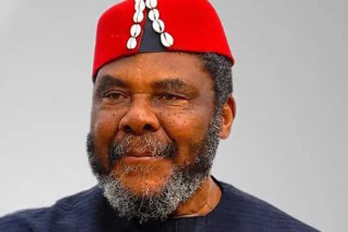 Veteran Nollywood Actor Pete Edochie Opens Up About Health Struggles and Mobility Challenges