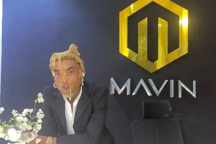 Mavin Records Issues Disclaimer Against Talent Manager Lotanna Harry Over Unauthorized Representation